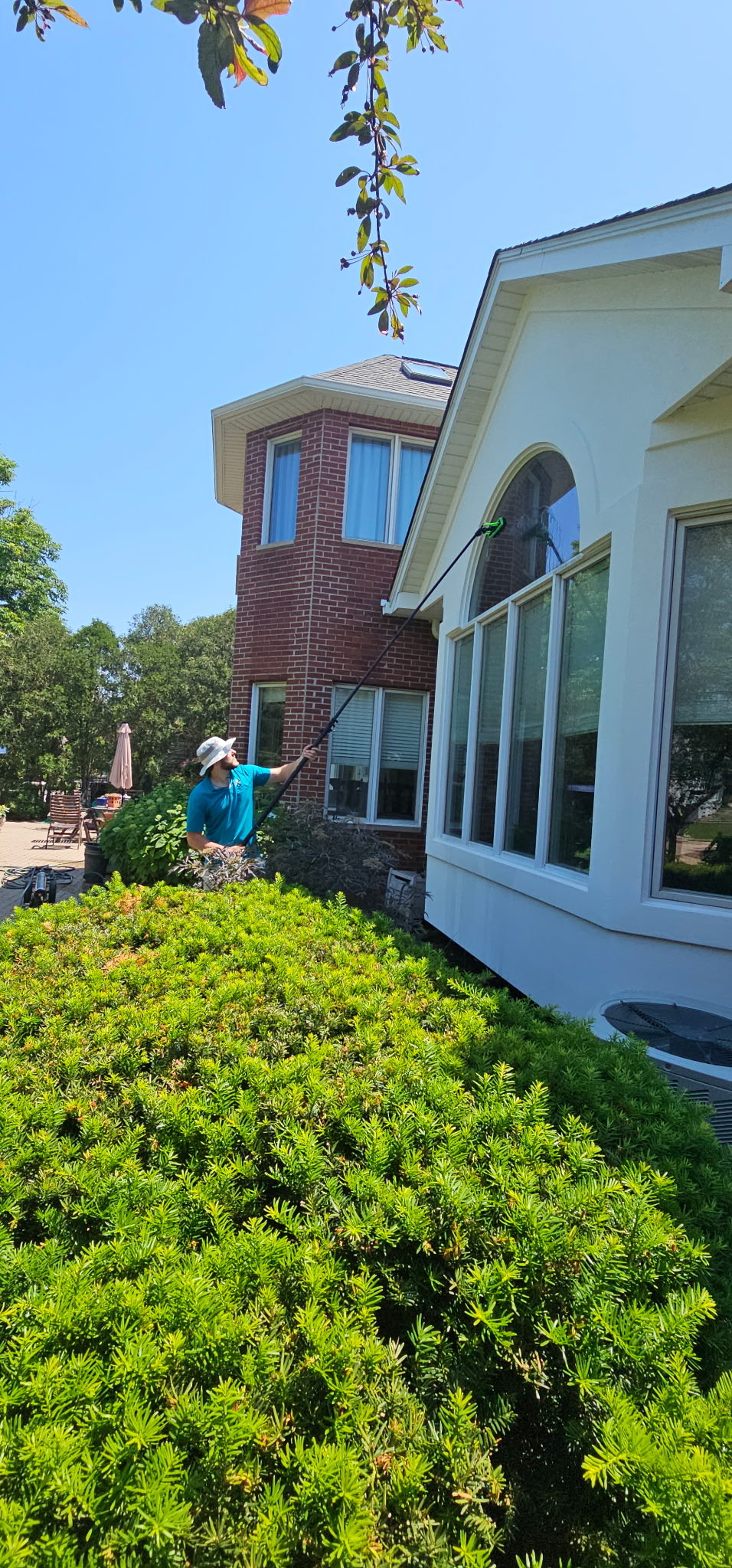 Wide shot arched windows with landscaping